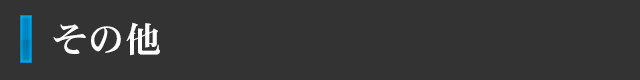 その他